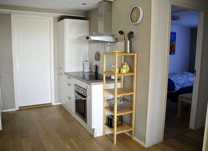 Prachtige bloembollenvelden rondom Vakantiehuisje in De Zilk, Noordzeekust, Zuid-Holland.