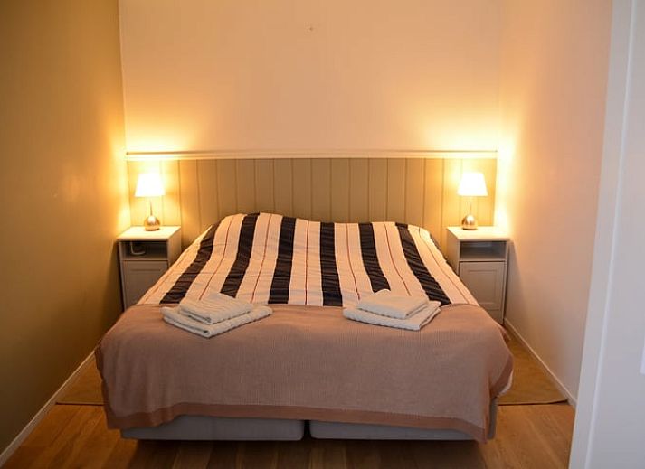 Prachtige bloembollenvelden rondom Vakantiehuisje in De Zilk, Noordzeekust, Zuid-Holland.