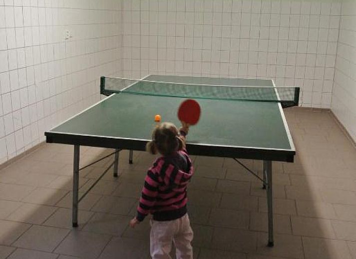 Verblijf 8816201 - Vakantiewoning Bohemen - Pension Jitka