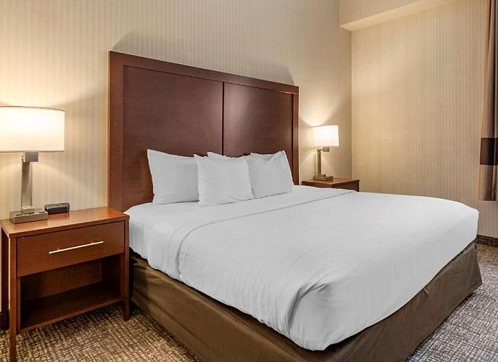 Unterkunft 8925202 - Appartement Oostkust - Comfort Suites Downtown Carlisle