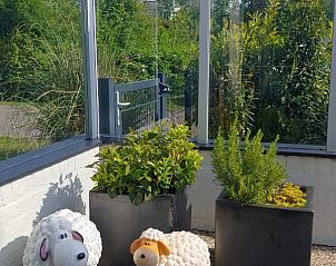 Verblijf 01011037 - Vakantiewoning Texel - De Lepelaar