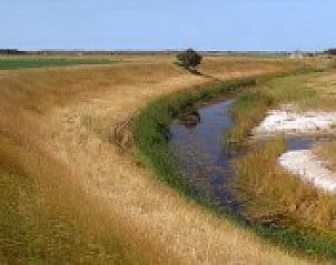 Prachtig Texels landschap rondom Alexanderhoeve, Den Hoorn, met uitgestrekte velden en water, ideaal voor natuurliefhebbers op de Waddeneilanden.