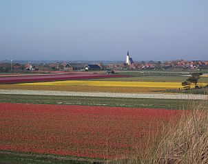 Prachtig uitzicht over bloeiende velden in Den Hoorn, Texel, nabij De Vigilant vakantiehuis op de Waddeneilanden.