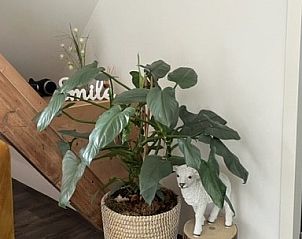 Verblijf 010762 - Bed and breakfast Texel - B&B de witte punt Texel