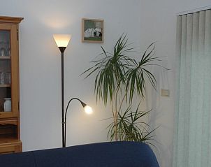 Stijlvolle hoek in de woonkamer van Alkema bungalowverhuur Gortersmient, Texel, met planten en verlichting.