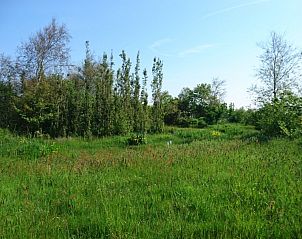 Verblijf 0108301 - Chalet Texel - Akkerveld 27
