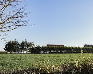 Ruime woonkamer in De Finesse vakantiehuis in Koekelare-Bovekerke, West-Vlaanderen met leren banken.