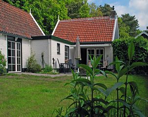 Gezellige buitenruimte van Het Rge Landje vakantiehuis in Dennenbos Texel met tuinmeubelen.