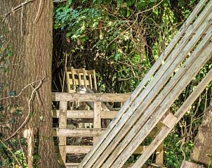 Guest house 0112602 - Holiday property West Flanders - Plokkersheem