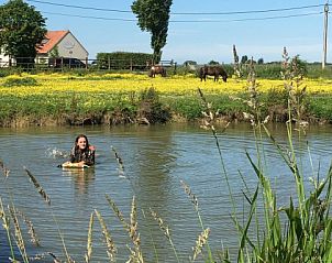 Guest house 0116604 - Holiday property West Flanders - Maison Marie