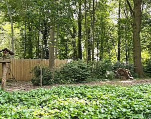 Natuurrijke omgeving van Vakantiehuisje in Voormezele, West-Vlaanderen, Belgi, met weelderige bossen en rustgevende groene omgeving.