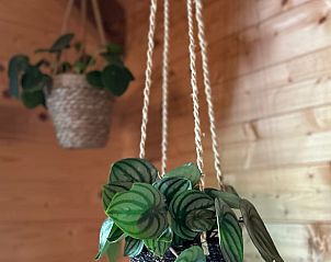 Verblijf 0131202 - Vakantiewoning West-Vlaanderen - Vakantiehuisje in Voormezele