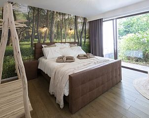 Slaapkamer met natuurthema in CheMyr11 vakantiehuis, Hertsberge, Belgi.