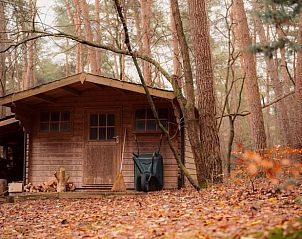 Verblijf 01934304 - Vakantiewoning Nedersaksen - Vakantiehuisje in Kirchlinteln