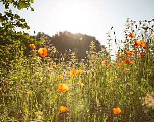 Verblijf 01937201 - Vakantiewoning Nedersaksen - Vakantiehuisje in Vrees