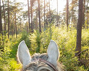 Verblijf 01937201 - Vakantiewoning Nedersaksen - Vakantiehuisje in Vrees