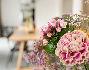 Guest house 019830 - Holiday property West Flanders - WOWie&Germain