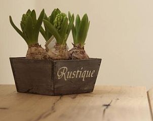 Verblijf 019851 - Appartement West-Vlaanderen - Amalia