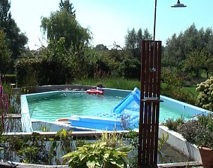 Buitenzwembad omringd door groene natuur bij De Mutsaard vakantiehuis, Oost-Vlaanderen.