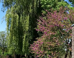 Guest house 021406 - Holiday property East Flanders - De Mispel