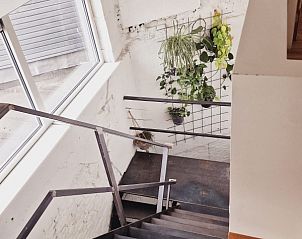 Guest house 0215501 - Holiday property East Flanders - Architectural house near city center - 20min walk