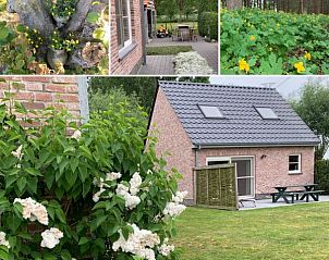 Guest house 0217502 - Holiday property East Flanders - De Smokkelaar