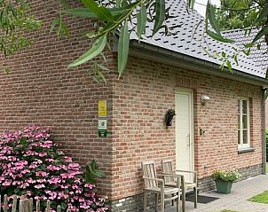 Guest house 0217503 • Holiday property East Flanders • Het Schuurtje   