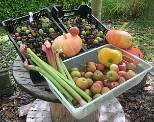 Verse oogst van fruit en groenten bij chalet Au Repeau in Moerzeke, Oost-Vlaanderen.
