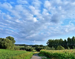 Adembenemend uitzicht op de natuur rondom Vakantiehuis in Onkerzele, Geraardsbergen, Oost-Vlaanderen, Belgi.