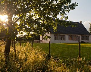 Bellovisto vakantiehuis omgeven door natuur, Vlaamse Ardennen, Oost-Vlaanderen, met zonnestralen door de bomen.