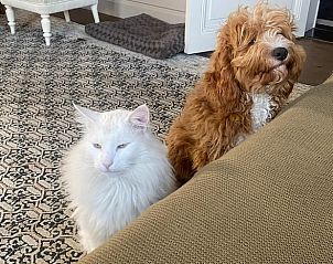 Verblijf 0226101 - Vakantiewoning Oost-Vlaanderen - Vakantiehuisje in Erwetegem