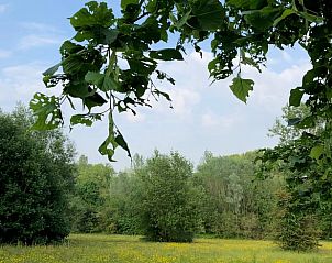 Verblijf 0226101 - Vakantiewoning Oost-Vlaanderen - Vakantiehuisje in Erwetegem