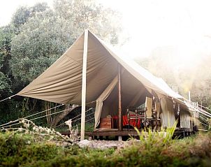 Verblijf 0226406 - Vakantie appartement Oost-Kaap - Quatermain's 1920's Safari Camp  Amakhala Game Reserve