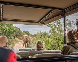 Verblijf 0226410 - Vakantie appartement Oost-Kaap - Safari Lodge - Amakhala Game Reserve