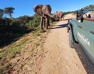 Verblijf 0226410 - Vakantie appartement Oost-Kaap - Safari Lodge - Amakhala Game Reserve