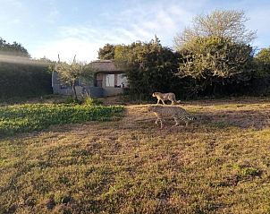 Verblijf 0226410 - Vakantie appartement Oost-Kaap - Safari Lodge - Amakhala Game Reserve