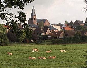 Guest house 0226701 - Holiday property East Flanders - Vakantiehuis in Zottegem-Strijpen