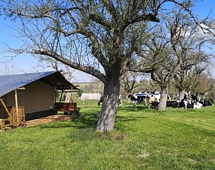 Verblijf 02436502 - Tenthuis Hessen - Safaritent