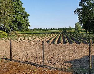 Prachtig uitzicht op de velden rondom Hoeve Hoogeind, Sint-Gillis-Waas, een rustgevende omgeving in Oost-Vlaanderen, Belgi.