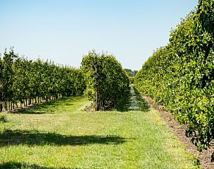 Guest house 024603 - Holiday property East Flanders - Vakantiehoeve Berckelaer