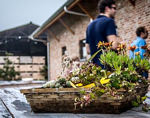 Guest house 024603 - Holiday property East Flanders - Vakantiehoeve Berckelaer