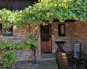 Ontdek de serene omgeving van Vakantiehuis in Abenden, Eifel, met een uitnodigend terras en groene wijnranken.