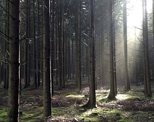 Verblijf 02720601 - Vakantiewoning Rijnland-Palts - Vakantiehuis in Pfaffenseifen