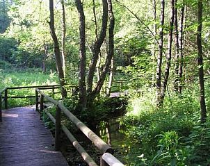 Verblijf 02810205 - Vakantiewoning Sauerland (Winterberg) - NWD018