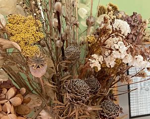 Guest house 029111 - Holiday property East Flanders - Vakantiehuisje in Wachtebeke