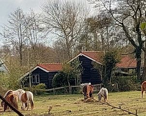 Rustic surroundings of The Trekvogels vacation home in Formerum, Terschelling with grazing horses.