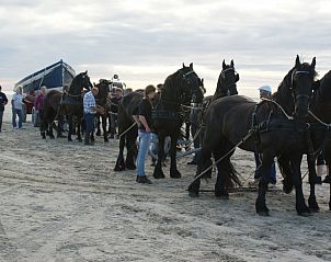 Guest house 030373 - Chalet Terschelling - De Branding