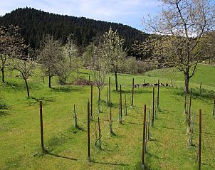 Verblijf 0310715 - Vakantiewoning Zwarte Woud - Vakantiehuis Backhäusle