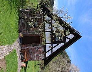 Verblijf 0310715 - Vakantiewoning Zwarte Woud - Vakantiehuis Backhäusle