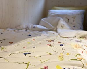 Guest house 031578 - Holiday property Terschelling - Sinne